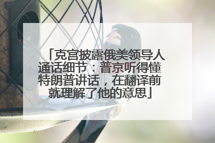 克宫披露俄美领导人通话细节：普京听得懂特朗普讲话，在翻译前就理解了他的意思