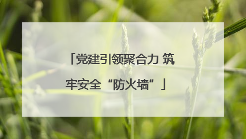 党建引领聚合力 筑牢安全“防火墙”