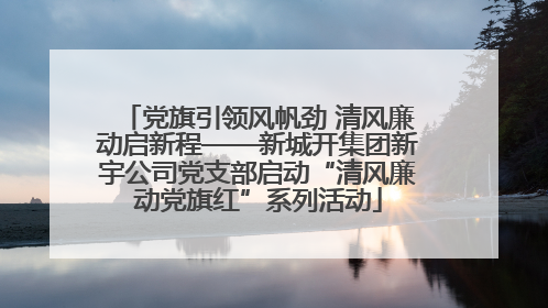 党旗引领风帆劲 清风廉动启新程——新城开集团新宇公司党支部启动“清风廉动党旗红”系列活动