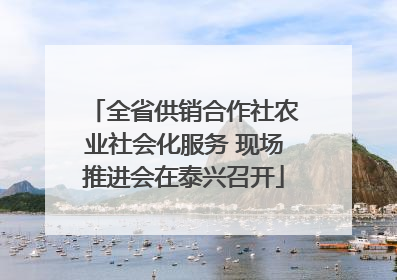 全省供销合作社农业社会化服务 现场推进会在泰兴召开