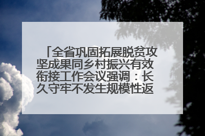 全省巩固拓展脱贫攻坚成果同乡村振兴有效衔接工作会议强调：长久守牢不发生规模性返贫致贫底线 王宁出席并讲话 王予波主持