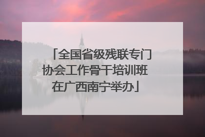 全国省级残联专门协会工作骨干培训班在广西南宁举办