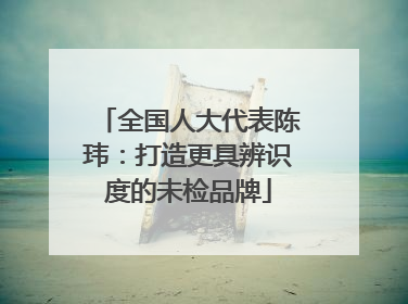 全国人大代表陈玮：打造更具辨识度的未检品牌