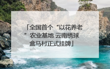 全国首个“以花养老”农业基地 云南绣球盒马村正式挂牌