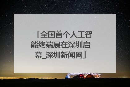 全国首个人工智能终端展在深圳启幕_深圳新闻网