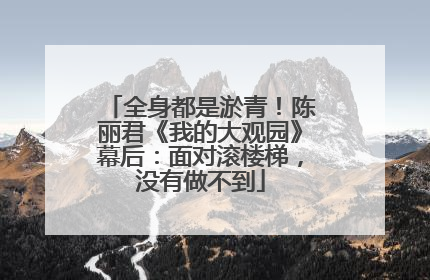全身都是淤青！陈丽君《我的大观园》幕后：面对滚楼梯，没有做不到