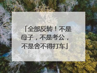 全部反转！不是母子，不是考公，不是舍不得打车