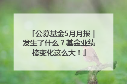 公募基金5月月报｜发生了什么？基金业绩榜变化这么大！