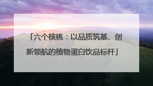 六个核桃：以品质筑基、创新领航的植物蛋白饮品标杆