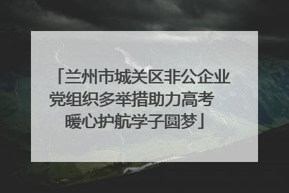 兰州市城关区非公企业党组织多举措助力高考 暖心护航学子圆梦