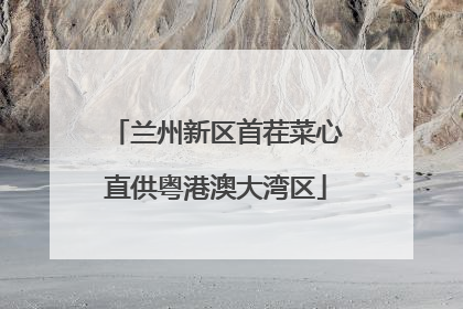 兰州新区首茬菜心直供粤港澳大湾区