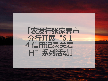 农发行张家界市分行开展“6.14 信用记录关爱日”系列活动