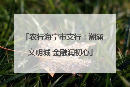 农行海宁市支行：潮涌文明城 金融润初心