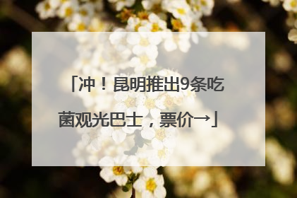 冲！昆明推出9条吃菌观光巴士，票价→