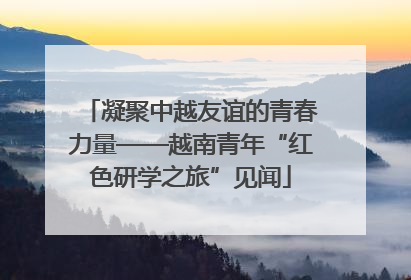 凝聚中越友谊的青春力量——越南青年“红色研学之旅”见闻
