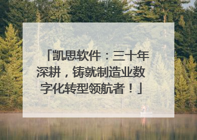 凯思软件：三十年深耕，铸就制造业数字化转型领航者！