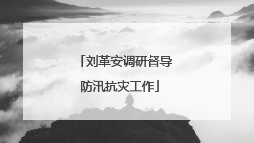 刘革安调研督导防汛抗灾工作