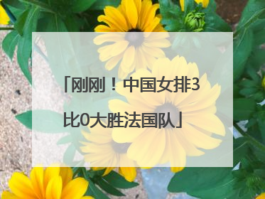 刚刚！中国女排3比0大胜法国队