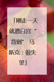 刚走一天就遭白宫“背刺” 马斯克：很失望