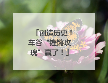 创造历史！车谷“铿锵玫瑰”赢了！