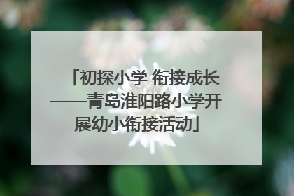 初探小学 衔接成长——青岛淮阳路小学开展幼小衔接活动