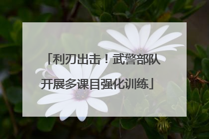 利刃出击！武警部队开展多课目强化训练