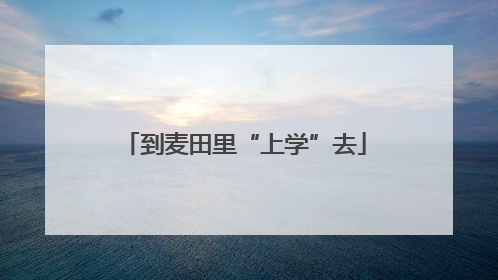 到麦田里“上学”去