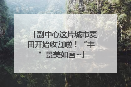副中心这片城市麦田开始收割啦！“丰”景美如画~