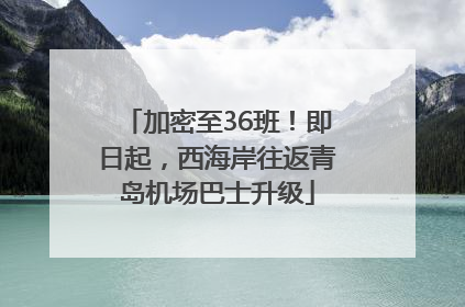 加密至36班！即日起，西海岸往返青岛机场巴士升级