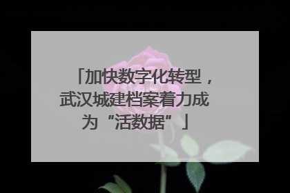 加快数字化转型，武汉城建档案着力成为“活数据”