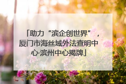 助力“滨企创世界”，厦门市海丝域外法查明中心·滨州中心揭牌
