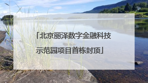 北京丽泽数字金融科技示范园项目首栋封顶