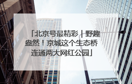 北京号最精彩｜野趣盎然！京城这个生态桥连通两大网红公园