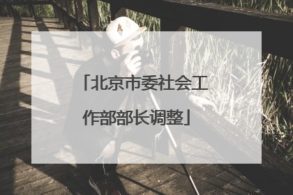 北京市委社会工作部部长调整