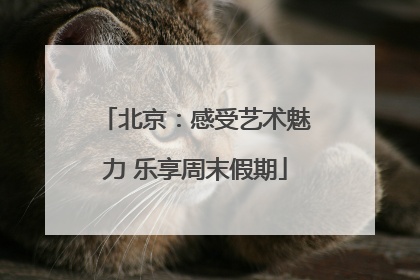 北京：感受艺术魅力 乐享周末假期