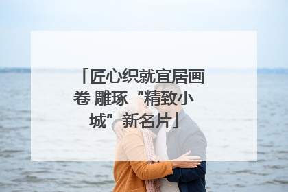 匠心织就宜居画卷 雕琢“精致小城”新名片