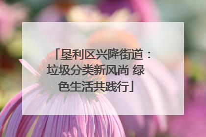 垦利区兴隆街道：垃圾分类新风尚 绿色生活共践行