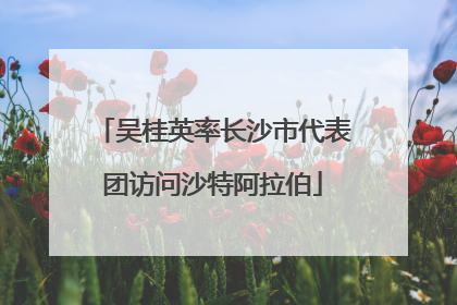 吴桂英率长沙市代表团访问沙特阿拉伯