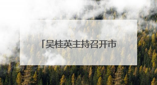吴桂英主持召开市委财经委员会会议
