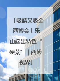 吸睛又吸金 西博会上乐山端出特色“硬菜”｜西博视界