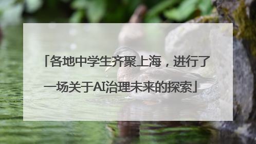 各地中学生齐聚上海，进行了一场关于AI治理未来的探索