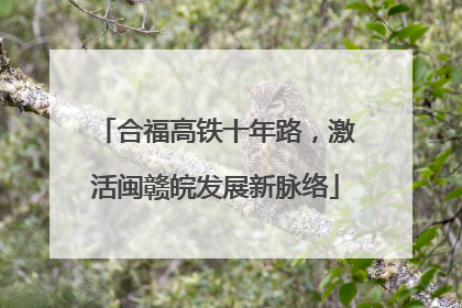 合福高铁十年路，激活闽赣皖发展新脉络