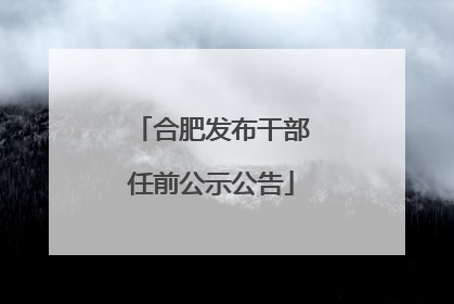 合肥发布干部任前公示公告