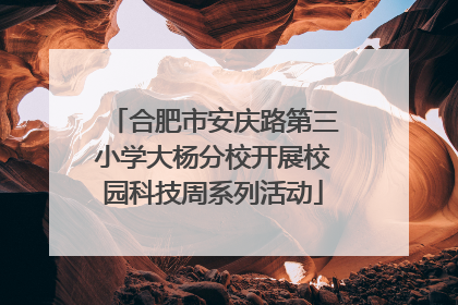 合肥市安庆路第三小学大杨分校开展校园科技周系列活动