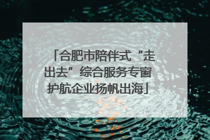 合肥市陪伴式“走出去”综合服务专窗护航企业扬帆出海