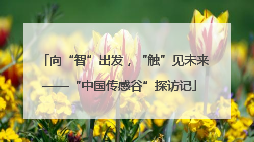 向“智”出发，“触”见未来——“中国传感谷”探访记