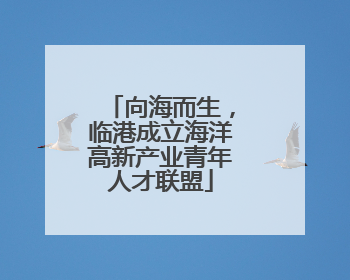 向海而生，临港成立海洋高新产业青年人才联盟