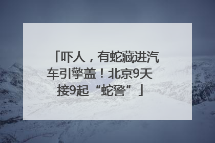 吓人，有蛇藏进汽车引擎盖！北京9天接9起“蛇警”