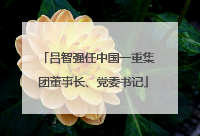 吕智强任中国一重集团董事长、党委书记