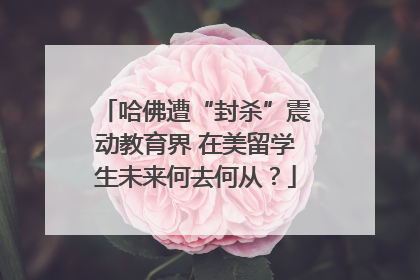 哈佛遭“封杀”震动教育界 在美留学生未来何去何从？